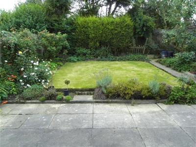 Picture 11